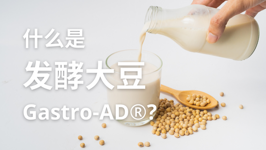 什么是发酵大豆Gastro-AD®？